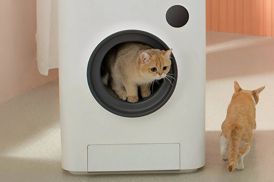 automatic cat litter box reviews